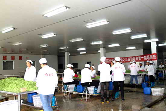 杭州亞運會官方靈芝產(chǎn)品供應商|杭州亞運會官方供應商|中國靈芝十大品牌|仙客來靈芝|仙客來靈芝破壁孢子粉|仙客來孢子油|仙客來靈芝飲片|仙客來破壁孢子粉|靈芝孢子油|孢子粉|靈芝破壁孢子粉|靈芝|中華老字號