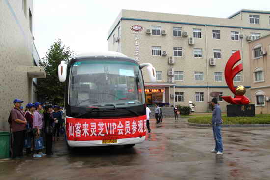 杭州亞運會官方靈芝產(chǎn)品供應商|杭州亞運會官方供應商|中國靈芝十大品牌|仙客來靈芝|仙客來靈芝破壁孢子粉|仙客來孢子油|仙客來靈芝飲片|仙客來破壁孢子粉|靈芝孢子油|孢子粉|靈芝破壁孢子粉|靈芝|中華老字號