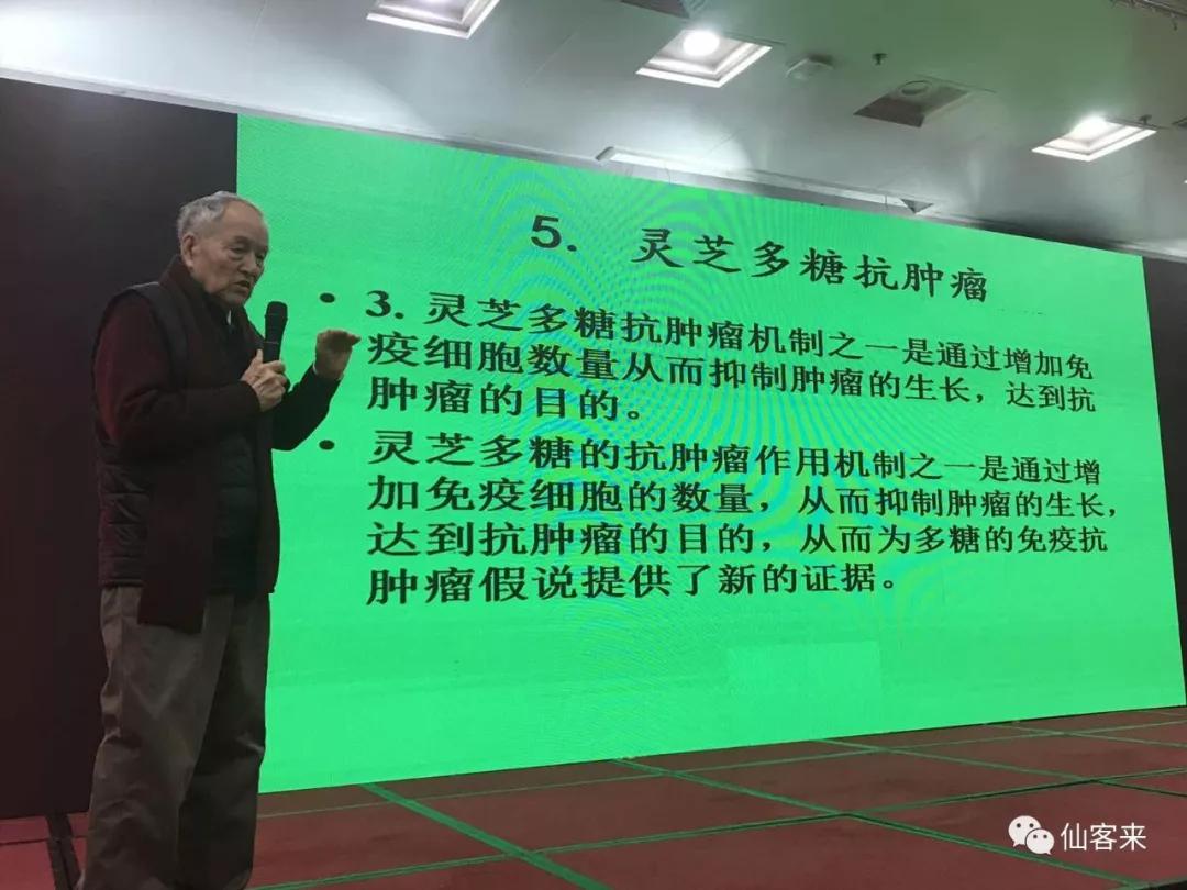 杭州亞運會官方靈芝產(chǎn)品供應(yīng)商|杭州亞運會官方供應(yīng)商|中國靈芝十大品牌|仙客來靈芝|仙客來靈芝破壁孢子粉|仙客來孢子油|仙客來靈芝飲片|仙客來破壁孢子粉|靈芝孢子油|孢子粉|靈芝破壁孢子粉|靈芝|中華老字號