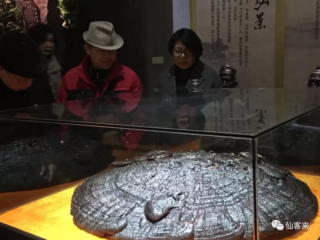 中國(guó)靈芝十大品牌|仙客來(lái)靈芝|仙客來(lái)靈芝破壁孢子粉|仙客來(lái)孢子油|仙客來(lái)靈芝飲片|仙客來(lái)破壁孢子粉|仙客來(lái)靈芝中藥飲片|馳名商標(biāo)|www.uglowindustry.com|
