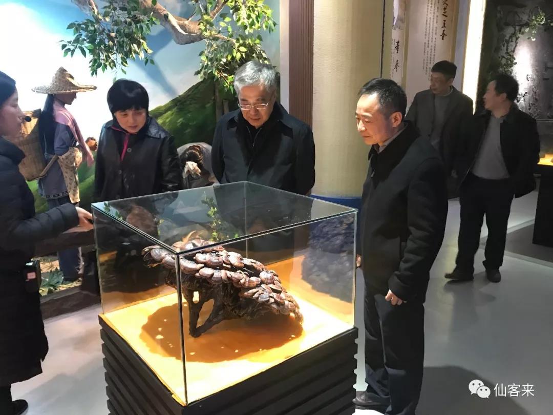 中國(guó)靈芝十大品牌|仙客來靈芝|仙客來靈芝破壁孢子粉|仙客來孢子油|仙客來靈芝飲片|仙客來破壁孢子粉|仙客來靈芝中藥飲片|馳名商標(biāo)|www.uglowindustry.com|