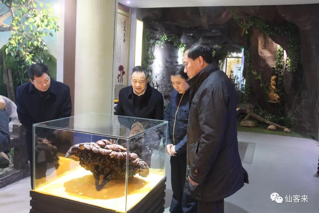 中國(guó)靈芝十大品牌|仙客來(lái)靈芝|仙客來(lái)靈芝破壁孢子粉|仙客來(lái)孢子油|仙客來(lái)靈芝飲片|仙客來(lái)破壁孢子粉|仙客來(lái)靈芝中藥飲片|馳名商標(biāo)|www.uglowindustry.com|
