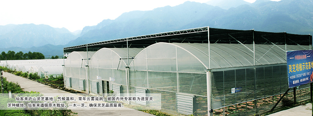 中國靈芝十大品牌|仙客來靈芝|仙客來靈芝破壁孢子粉|仙客來孢子油|仙客來靈芝飲片|仙客來破壁孢子粉|仙客來靈芝中藥飲片|馳名商標|www.uglowindustry.com|