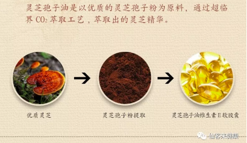 中國靈芝十大品牌|仙客來靈芝|仙客來靈芝破壁孢子粉|仙客來孢子油|仙客來靈芝飲片|仙客來破壁孢子粉|仙客來靈芝中藥飲片|馳名商標|www.uglowindustry.com|