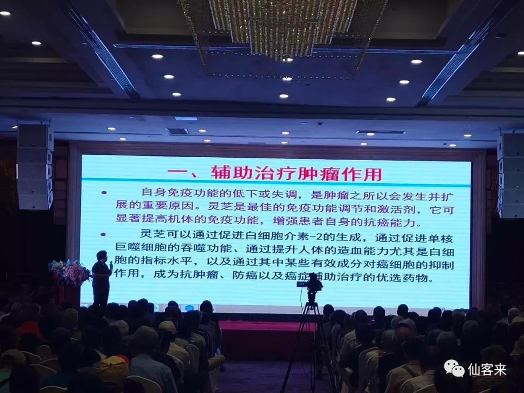 杭州亞運(yùn)會(huì)官方靈芝產(chǎn)品供應(yīng)商|杭州亞運(yùn)會(huì)官方供應(yīng)商|中國靈芝十大品牌|仙客來靈芝|仙客來靈芝破壁孢子粉|仙客來孢子油|仙客來靈芝飲片|仙客來破壁孢子粉|靈芝孢子油|孢子粉|靈芝破壁孢子粉|靈芝|中華老字號(hào)