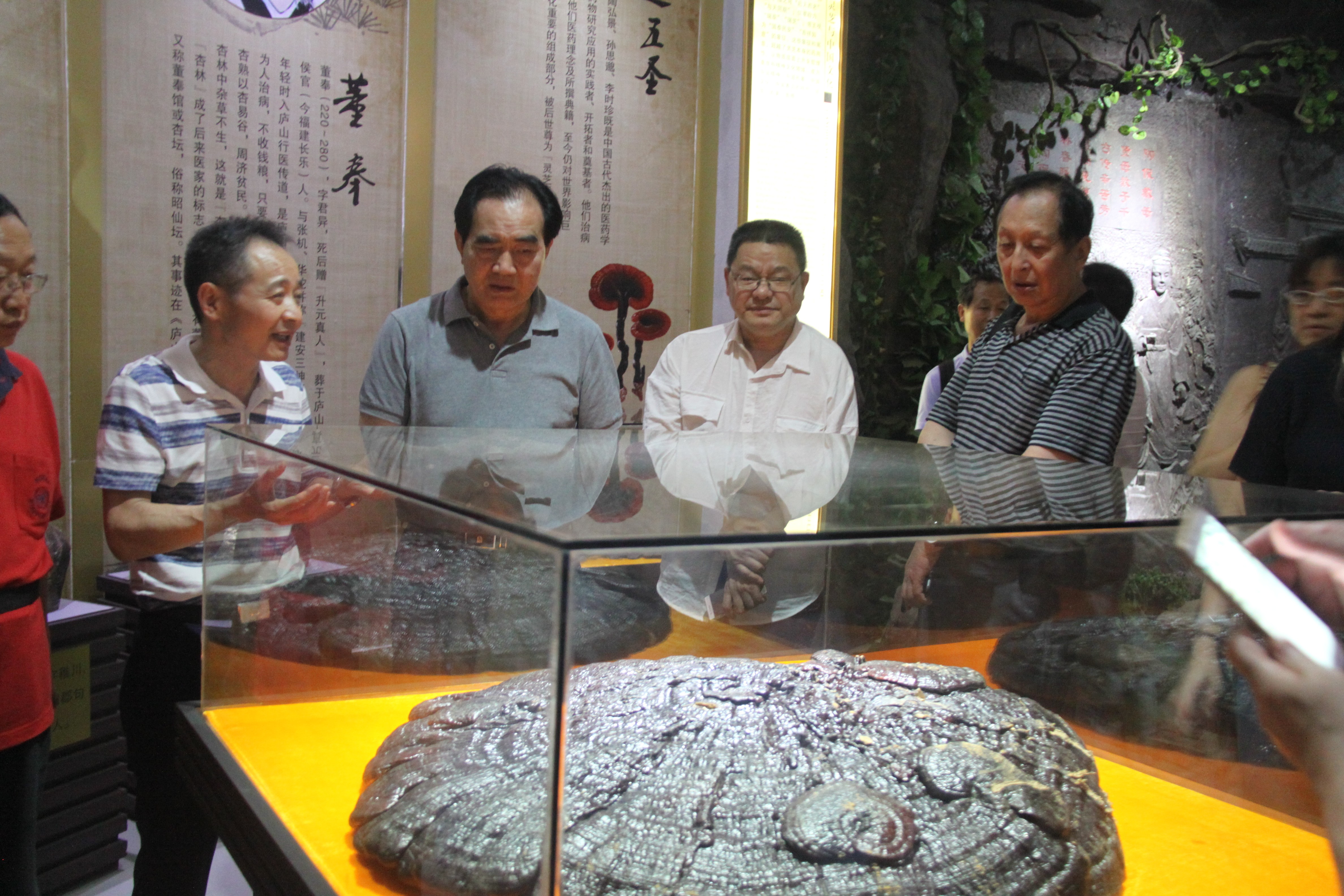 中國(guó)靈芝十大品牌|仙客來靈芝|仙客來靈芝破壁孢子粉|仙客來孢子油|仙客來靈芝飲片|仙客來破壁孢子粉|仙客來靈芝中藥飲片|馳名商標(biāo)|www.uglowindustry.com|