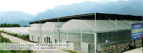 中國靈芝十大品牌|仙客來靈芝|仙客來靈芝破壁孢子粉|仙客來孢子油|仙客來靈芝飲片|仙客來破壁孢子粉|仙客來靈芝中藥飲片|馳名商標(biāo)|www.uglowindustry.com|