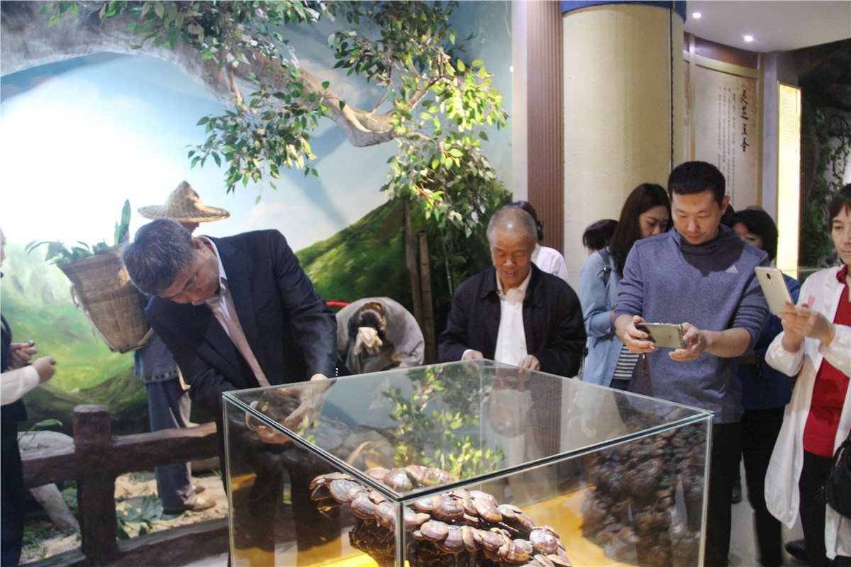 中國(guó)靈芝十大品牌|仙客來靈芝|仙客來靈芝破壁孢子粉|仙客來孢子油|仙客來靈芝飲片|仙客來破壁孢子粉|仙客來靈芝中藥飲片|馳名商標(biāo)|www.uglowindustry.com|
