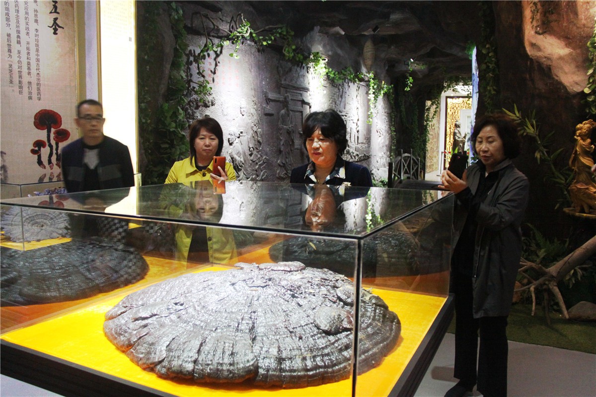 中國靈芝十大品牌|仙客來靈芝|仙客來靈芝破壁孢子粉|仙客來孢子油|仙客來靈芝飲片|仙客來破壁孢子粉|仙客來靈芝中藥飲片|馳名商標|www.uglowindustry.com|
