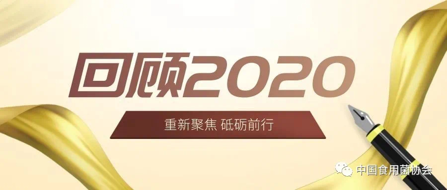 杭州亞運會官方靈芝產(chǎn)品供應(yīng)商|杭州亞運會官方供應(yīng)商|中國靈芝十大品牌|仙客來靈芝|仙客來靈芝破壁孢子粉|仙客來孢子油|仙客來靈芝飲片|仙客來破壁孢子粉|靈芝孢子油|孢子粉|靈芝破壁孢子粉|靈芝|中華老字號