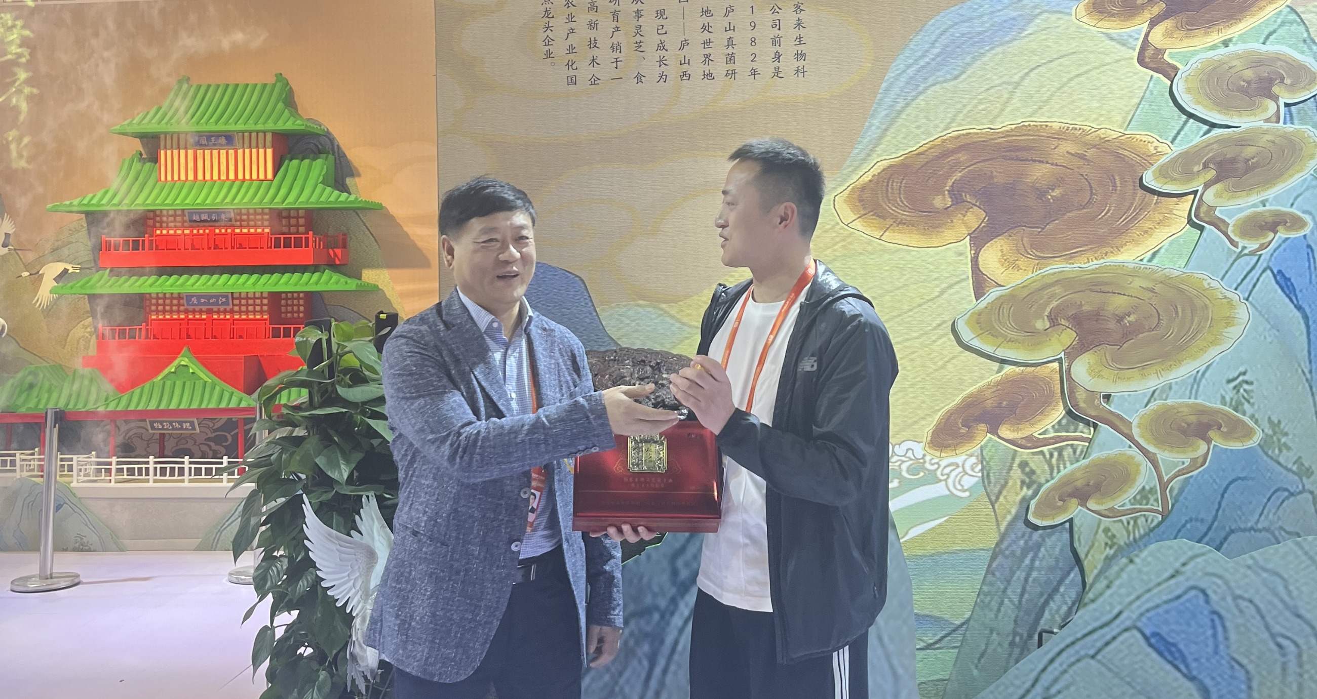 杭州亞運會官方靈芝產(chǎn)品供應(yīng)商|杭州亞運會官方供應(yīng)商|中國靈芝十大品牌|仙客來靈芝|仙客來靈芝破壁孢子粉|仙客來孢子油|仙客來靈芝飲片|仙客來破壁孢子粉|靈芝孢子油|孢子粉|靈芝破壁孢子粉|靈芝|中華老字號