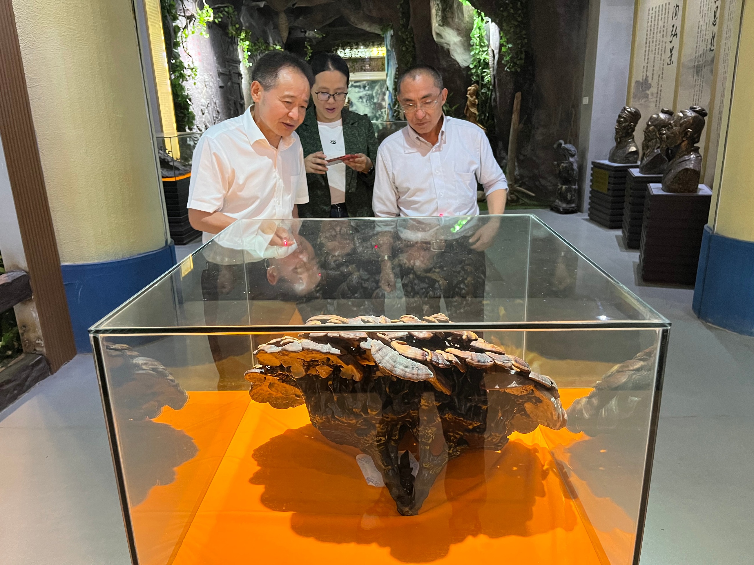 杭州亞運會官方靈芝產(chǎn)品供應商|杭州亞運會官方供應商|中國靈芝十大品牌|仙客來靈芝|仙客來靈芝破壁孢子粉|仙客來孢子油|仙客來靈芝飲片|仙客來破壁孢子粉|靈芝孢子油|孢子粉|靈芝破壁孢子粉|靈芝|中華老字號