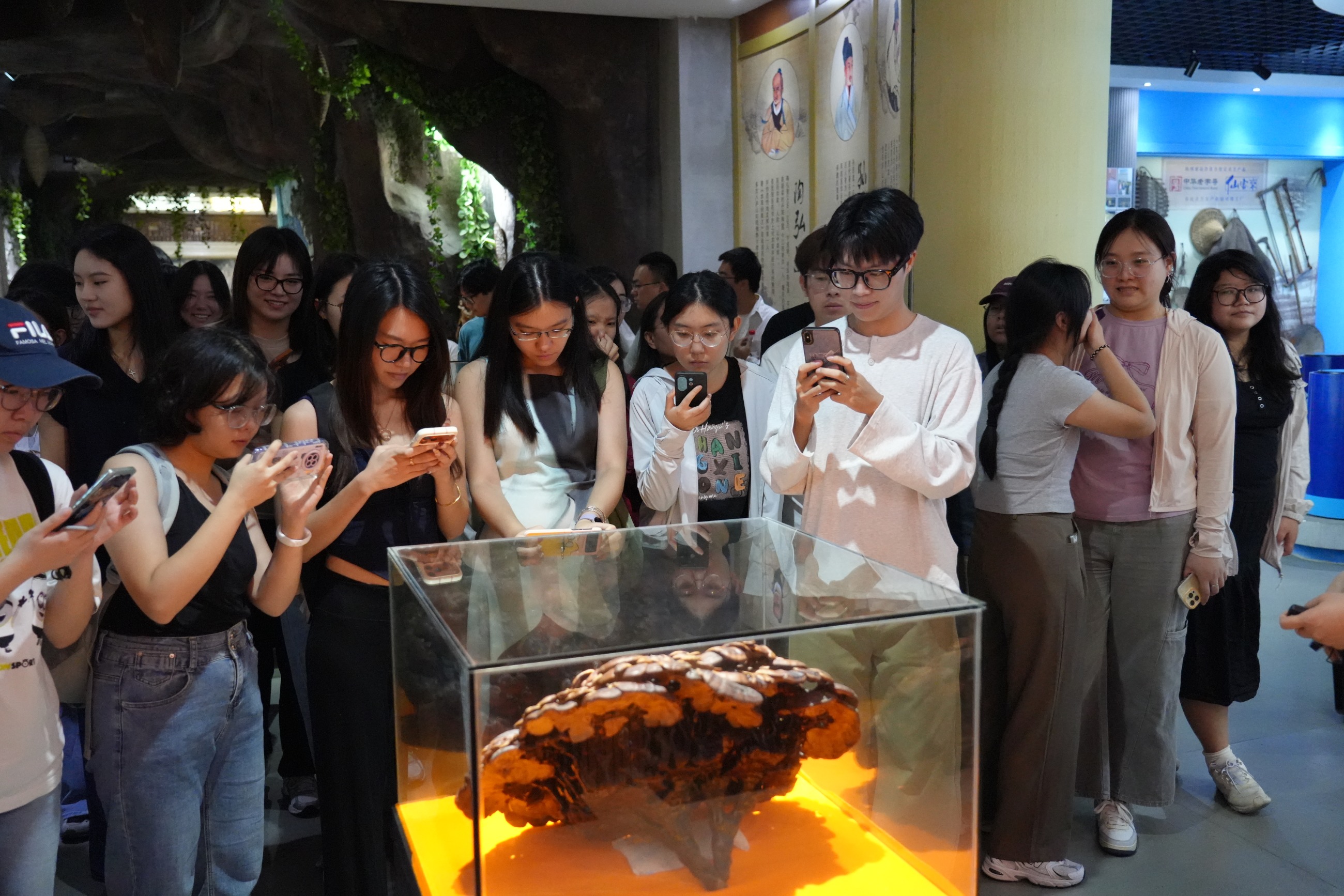 杭州亞運會官方靈芝產品供應商|杭州亞運會官方供應商|中國靈芝十大品牌|仙客來靈芝|仙客來靈芝破壁孢子粉|仙客來孢子油|仙客來靈芝飲片|仙客來破壁孢子粉|靈芝孢子油|孢子粉|靈芝破壁孢子粉|靈芝|中華老字號