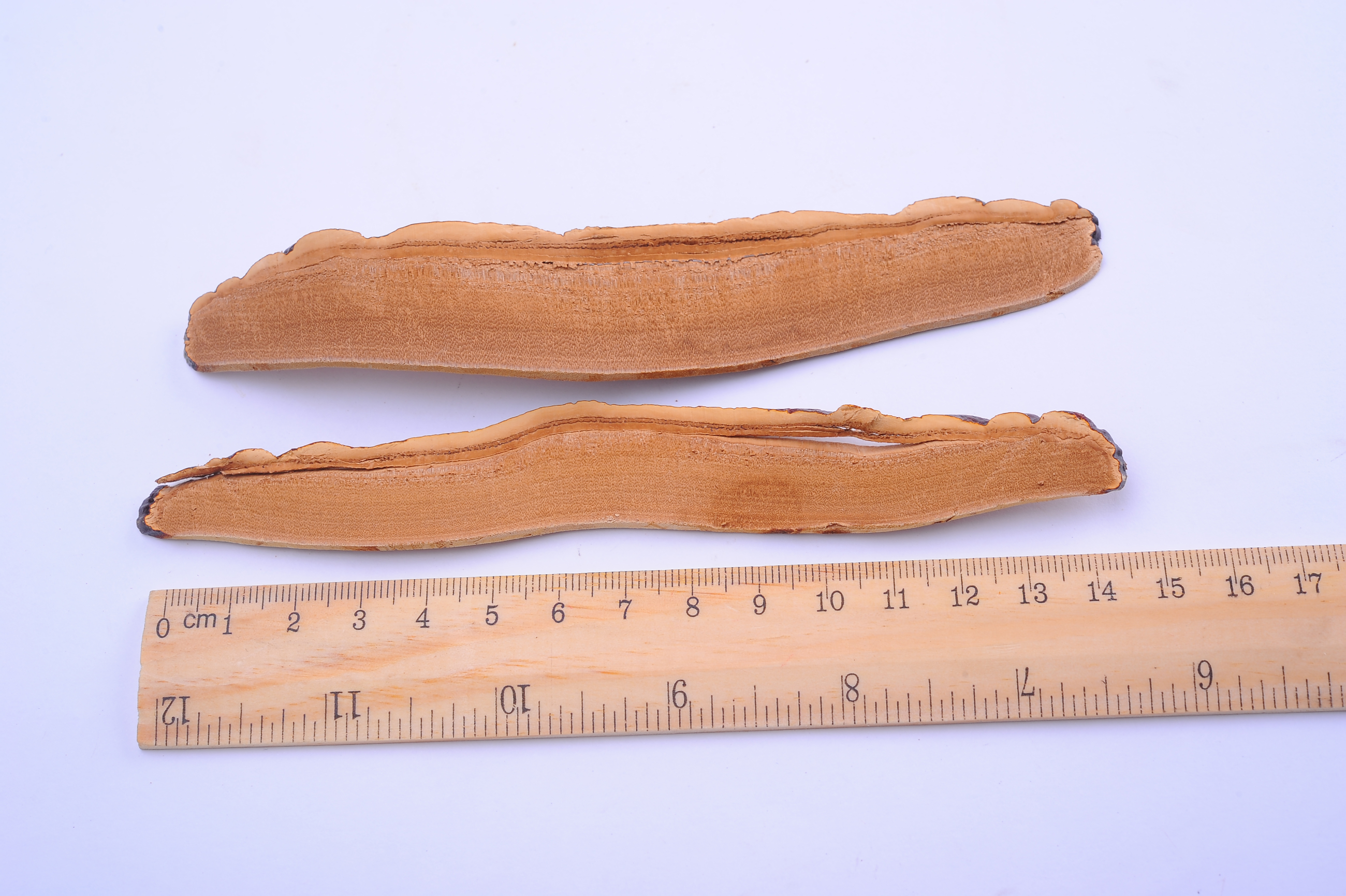 杭州亞運(yùn)會(huì)官方靈芝產(chǎn)品供應(yīng)商|杭州亞運(yùn)會(huì)官方供應(yīng)商|中國(guó)靈芝十大品牌|仙客來(lái)靈芝|仙客來(lái)靈芝破壁孢子粉|仙客來(lái)孢子油|仙客來(lái)靈芝飲片|仙客來(lái)破壁孢子粉|靈芝孢子油|孢子粉|靈芝破壁孢子粉|靈芝|中華老字號(hào)