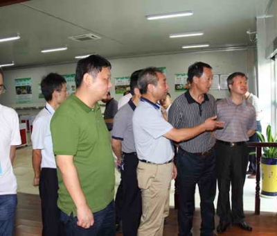 德安縣委、人大、政協(xié)領(lǐng)導(dǎo)考察仙客來(lái)公司