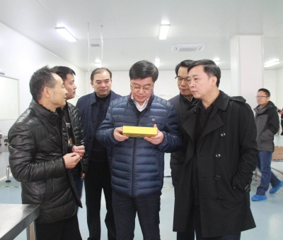 江西省檢察院黨組成員、副檢察長徐勝平一行來公司走訪調(diào)研