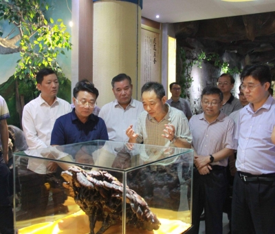 “降成本，優(yōu)環(huán)境”助企業(yè)騰飛——江西省政協(xié)副主席率團(tuán)調(diào)研仙客來(lái)！