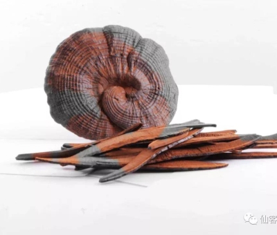 先，鮮，仙，一杯飲盡天下鮮。