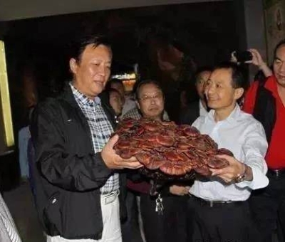 這樣過(guò)三月才是人生贏家！