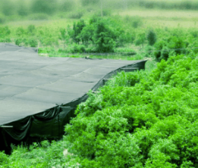 感謝廬山吧，這會是一場“仙旅情緣”