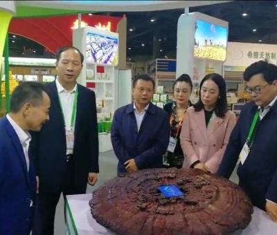 仙客來綠色有機(jī)靈芝在第十七屆中國國際農(nóng)產(chǎn)品交易會一展風(fēng)采