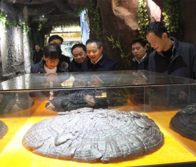 國家民委領(lǐng)導(dǎo)蒞臨仙客來公司考察調(diào)研