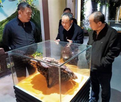 中華全國(guó)供銷(xiāo)合作總社原副主任戴公興一行蒞臨仙客來(lái)公司視察指導(dǎo)