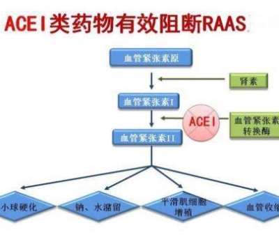 不吃藥，能降低高血壓？