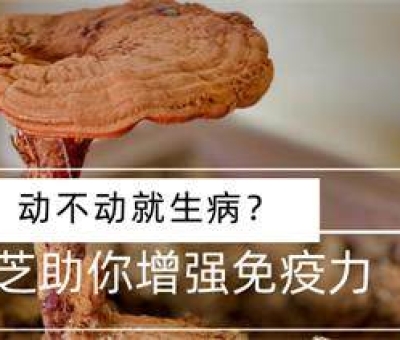 冬病夏治-如何調(diào)養(yǎng)身體？