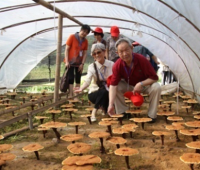 “七一勛章”獲得者張桂梅背后的故事：他們將靈芝磨成粉，送給她拌飯吃，說，吃這些能治病