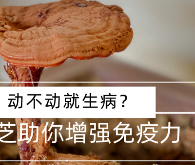 靈芝，預(yù)防您夏季上“火”