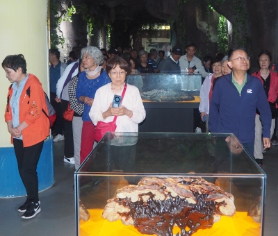 深深靈芝情！中華全國供銷合作總社再訪仙客來