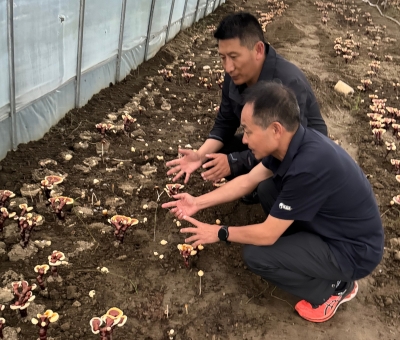 助力少數(shù)民族地區(qū)發(fā)展！潘新華應(yīng)邀前往西藏拉薩市和林芝市 共商產(chǎn)業(yè)發(fā)展良策