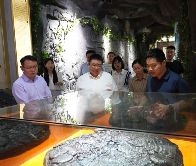 省工信廳副廳長江紹龍一行蒞臨仙客來調(diào)研