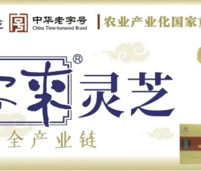 贊助商-仙客來靈芝，為健康加油