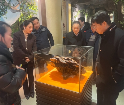 曲鳳宏赴仙客來考察調研